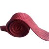 red dotted design tie