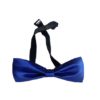 Blue Bow Tie