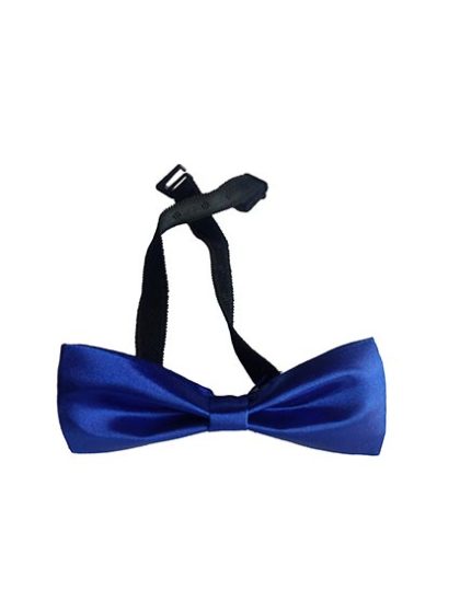 Blue Bow Tie