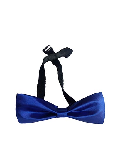 Blue Bow Tie