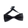 Black Bow Tie