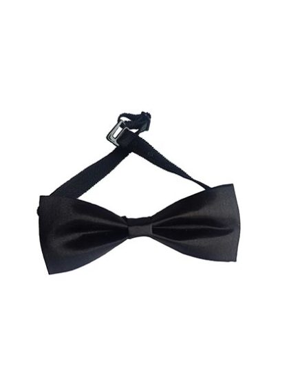 Black Bow Tie