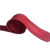red dotted design tie