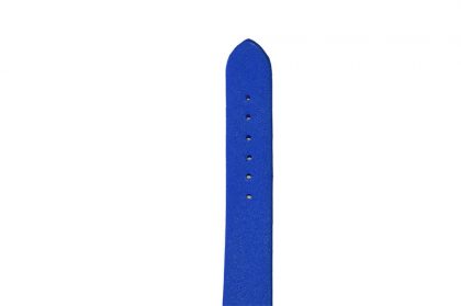 Bolano Analogue Women Watch - Blue