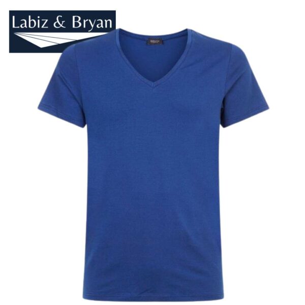Hanro Cotton Superior V-Neck T-Shirt